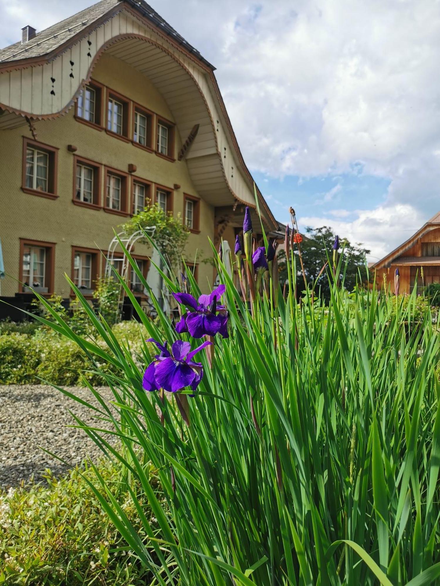 Gasthof Kreuz Marbach Exterior foto
